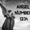 Angel  Number 1234