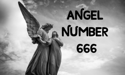 Angel  Number 666