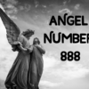 ANGEL NUMBER 888