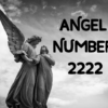 Angel Numbers 2222