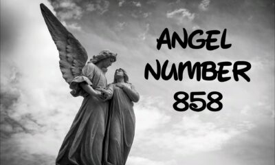Angel Number 858